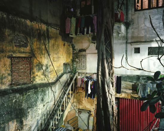 Courtyard View, 2010