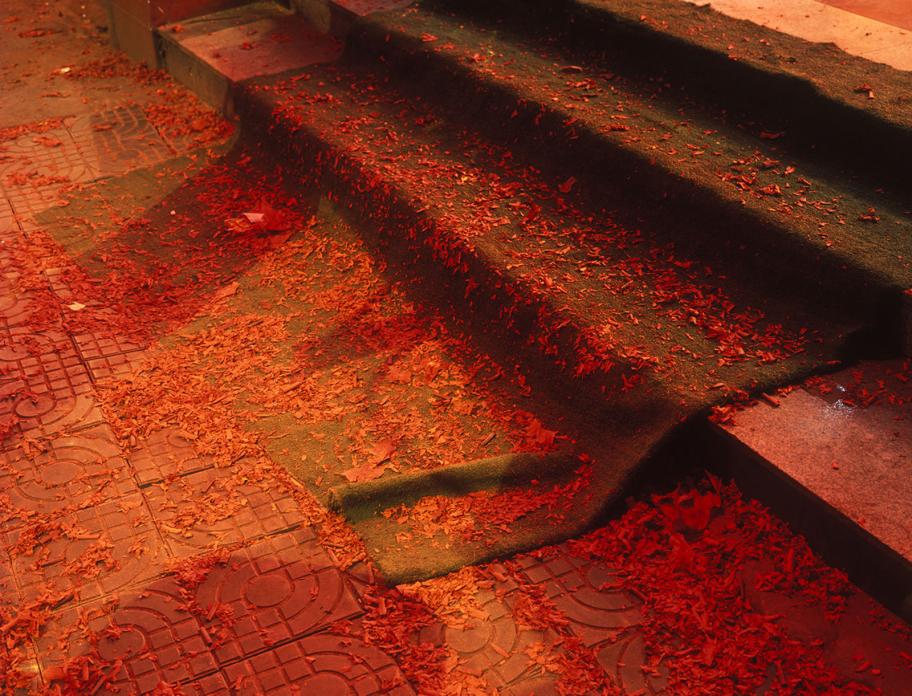 Lunar New Year Fireworks Debris, 2001