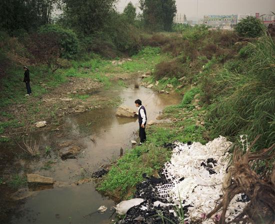 Migrants Collecting Snails, Guangdong, 1996